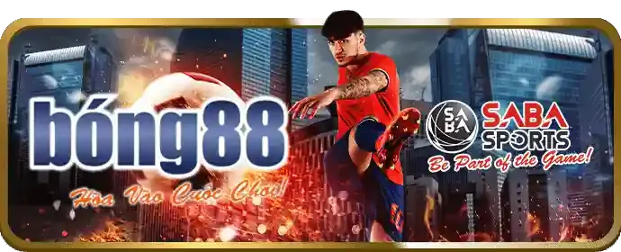 Chương trình hoàn trả và VIP