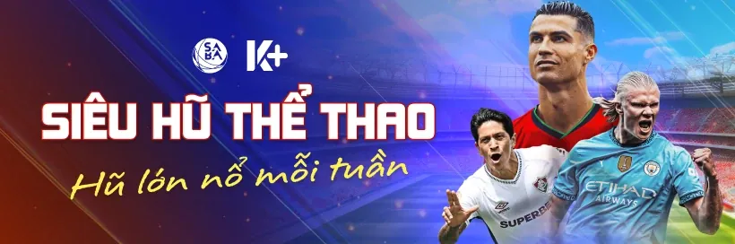 Hệ thống theo dõi và báo cáo